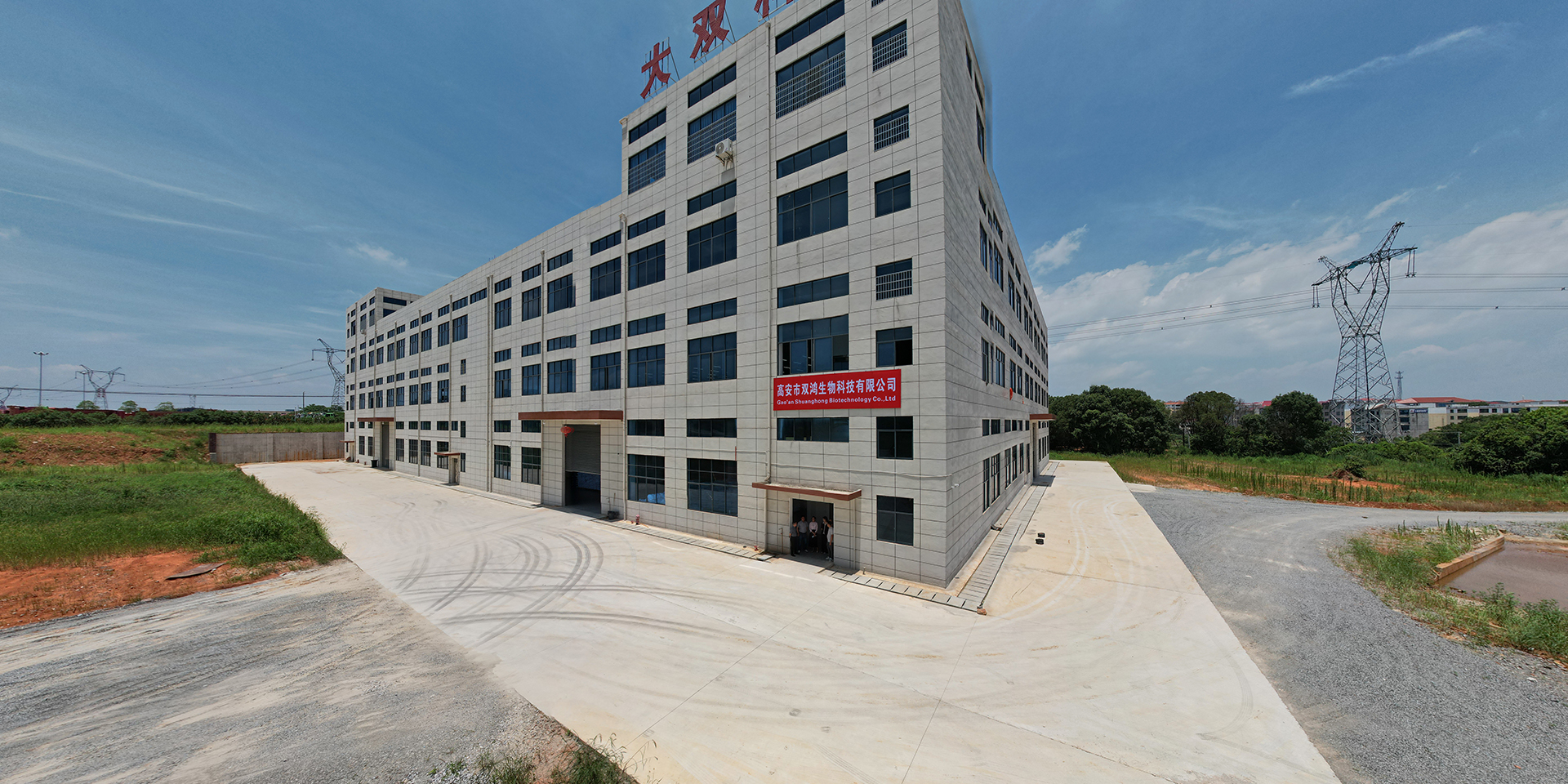 DaShuang Technology Co., Ltd.