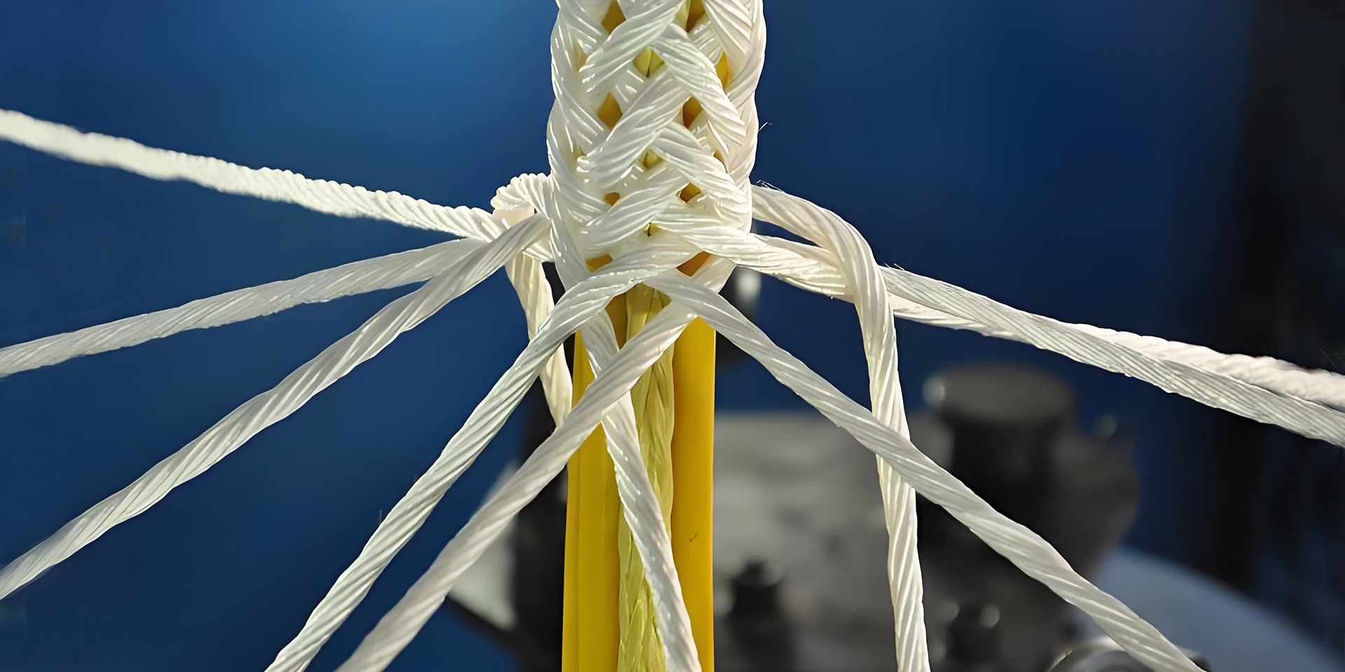 Polyester ropes